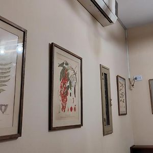 Botanical House